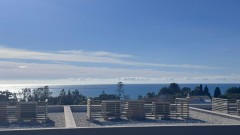 Foto49