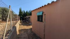 Foto5