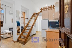 Foto1
