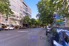 Foto15