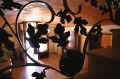 Foto34