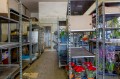 Foto10