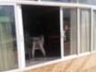 Foto38