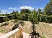 Foto39