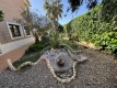 Foto8