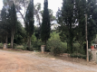 Foto1