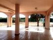 Foto8