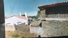 Foto1