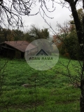 Foto4