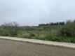 Foto4