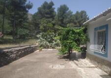 Foto18