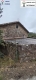 Foto36