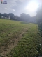 Foto16