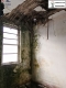 Foto9