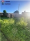 Foto4