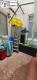 Foto36