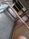 Foto38
