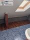 Foto7