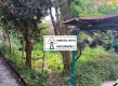 Foto6