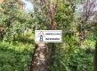 Foto8