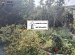 Foto9