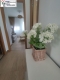 Foto5