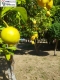 Foto10
