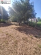 Foto8