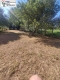 Foto9