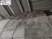 Foto6