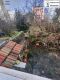 Foto35