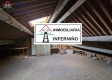 Foto9
