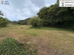 Foto19