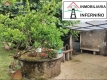 Foto8