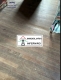 Foto8