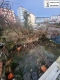 Foto30
