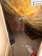 Foto35