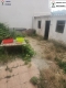 Foto2