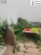 Foto8