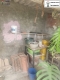 Foto10