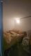 Foto9