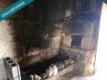 Foto11