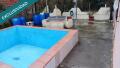 Foto9