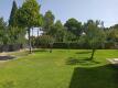 Foto5
