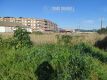 Foto8