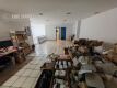 Foto8