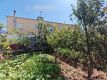 Foto4