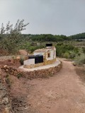 Foto5