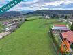 Foto4