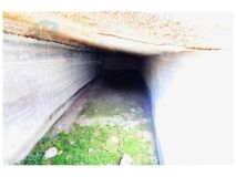 Foto12